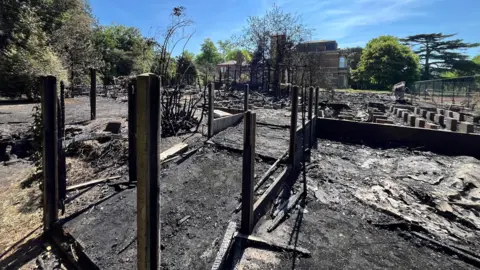 The remains of a burned out building on a sunny day. There are no visible walls. The ground is charred black.