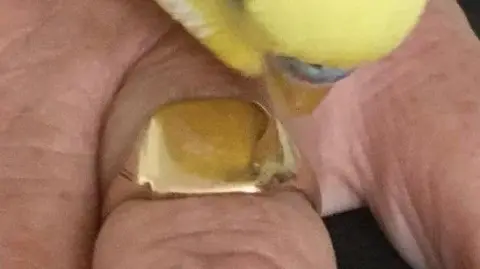 Laura Martin Stolen Wedding Ring 