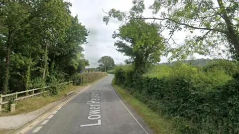 Google image of an area of Lower Haysden Lane, between Haysden Country Park and Brook Street. The road is lined with green trees and hedges.