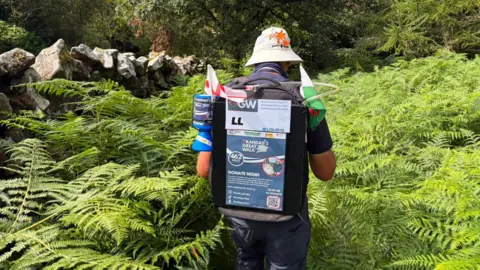 John walks away from the camera through an overgrown footpath full of ferns. He is wearing a backpack that is decorated with a Welsh flag and English flag, as well as the information on how to donate to his fundraising walk.
