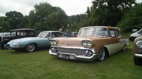 A row of classic cars sits on a grassy field at a vehicle show, including a pale blue Jaguar E‑Type and a two-tone American Chevrolet. Other vintage models, including an older black saloon and additional classic cars partially visible to the sides, are parked closely together with trees and woodland forming a green backdrop.