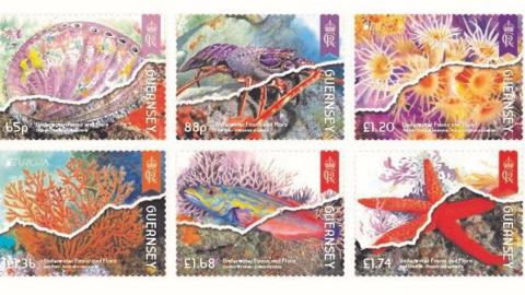 Six stamps featuring underwater flora and fauna