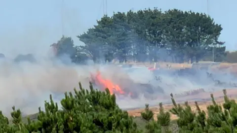 Ian Bennett A fire in the open near Mawgan Porth in Cornwall. Several trees are in the background. The flames and smoke are quite thick.