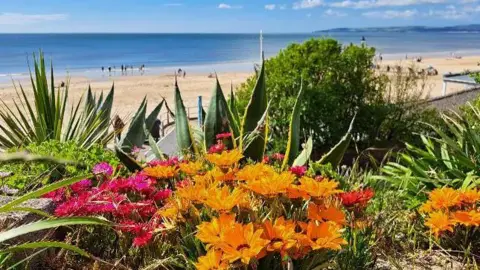 Pink and orange flowers in the foreground with Bournemouth beach in the background