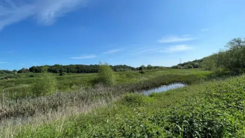 Habitats at Lundwood in South Yorkshire