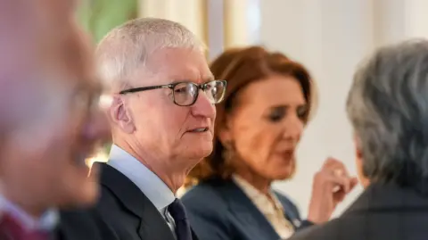 Apple CEO Tim Cook in a dark grey suit and necktie, with a light grey dress shirt, speaking in a room of people during a reception at the White House. 