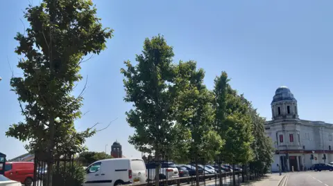 Six trees planted by the side of a car park and next to a white building in Cookson Street, Blackpool.