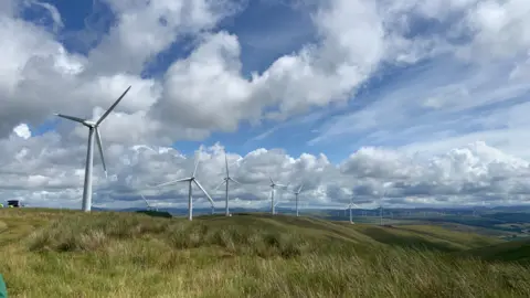 A series of wind turbines peppered across an expanse of grassy moorland.
