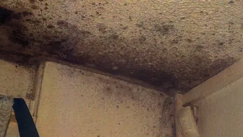 Rochdale Coroner's Office An image showing black mould spores on a white ceiling where it meets the wall