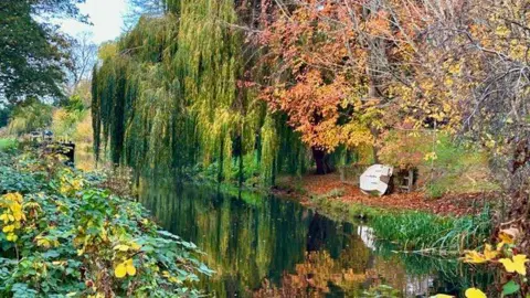 Paul Sutton A stunning photo of a stretch of canal in Stroud with colourful Autumn leaves reflected off the water and a boat on its side on the canal bank