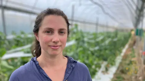 Anna David is wearing a blue shirt as she stands in a polytunnel full of courgettes at Riverford Organic Farmers where a watering trial is being carried out. 