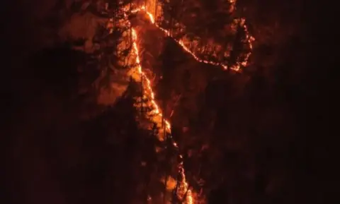 An aerial view of a wildfire ripping through a forest at night