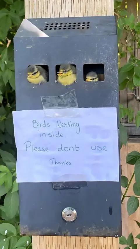 Birds nesting in a cigarette bin with a sign on it.