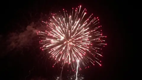 A large red firework exploded in the sky.