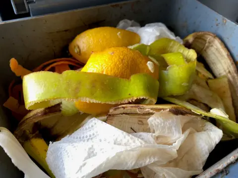 Fruit and vegetable peelings in a waste bin