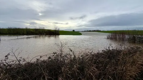 A landscape shot over a flooded field on the Somerset Levels 