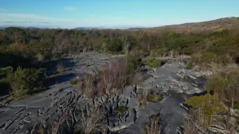 Limestone pavements on top of a hill, with a clear, blue sky in the far distance, and plants and vegetation poking through cracks on the limestone 