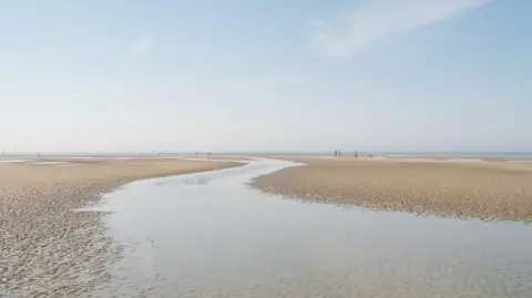 An empty sandy beach. 