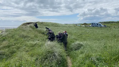 A row of birdwatchers with cameras looking out to sea