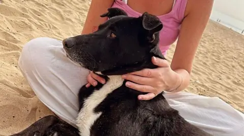 Supplied A dog on the beach with a woman behind it 