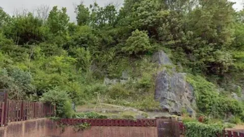 Google A woodland area with rocks and trees.