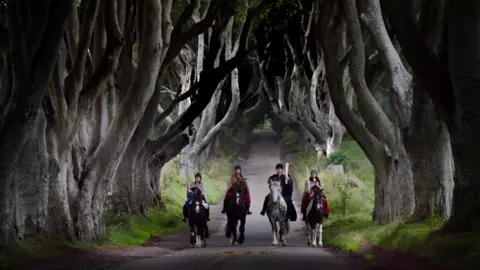 A tunnel of beech trees form a ceiling over a rural road surrounded by grass. The trees are bare and the road is narrow. There are four people on horses coming down the road. 