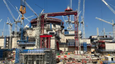 One of the two reactors being built at Hinkley Point C power station surrounded by cranes