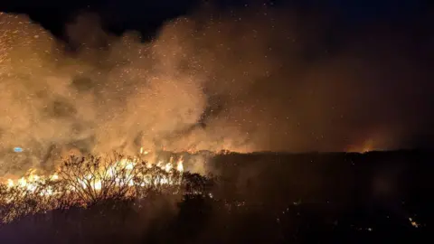 Devon and Somerset Fire and Rescue Service An image of tall, bright orange and black flames coming off the moorland. It is dark and the bright flames contrast against the night sky. There is also a lot of smoke and ash floating in the sky. 