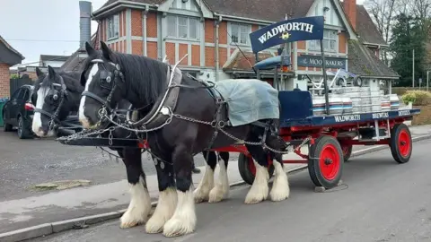 Wadworth Shire Horses Wadworth shire horses Sam and George pulling a cart