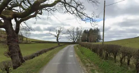 Google Hedge and tree-lined single track rural road with a cloudy sky above