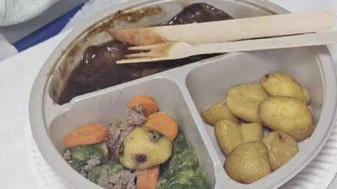 Peter Clarke A meagre-looking meal. There are three sections on a plastic bowl, some meat in gravy, vegetables and potatoes. It looks unpleasant.