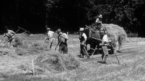 Rothamsted Research Historic 1941 black-and-white photograph showing workers harvesting hay by hand in a field, with a horse-drawn cart loaded with hay in the background.