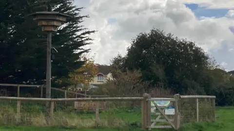 BBC Picture shows a wooden tower with bird box at the top, and a wooden fence around a pond. There is a wooden bench for people to sit on