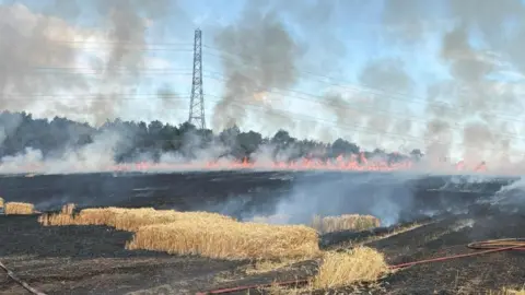 A large field on fire, showing a power pylon, and wires coming out of it. There are flames in the field, smoke and burned crops. There is a red hose lying on the ground. 