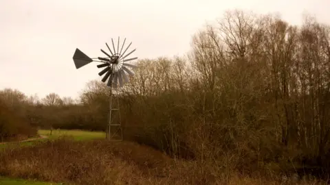 A grey, steel wind turbine next to trees and grassland at a nature reserve