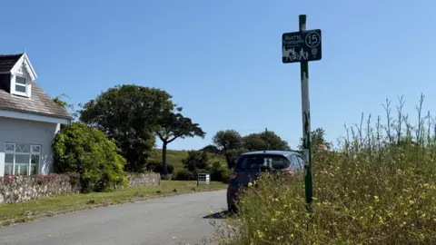 A wild flower bush is seen with a thin green sign protruding from its centre. The sign reads Ruette Tranquilles and has images of pedestrians, horses and cyclists. A car is seen driving down the road with a house to the left. 