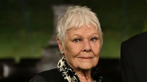 PA Media Dame Judi Dench in a head and shoulders picture at the premiere of Finding Harmony