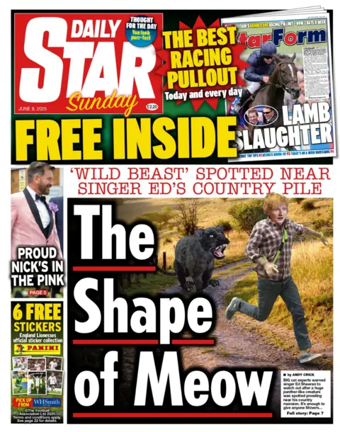 "The Shape of Meow"