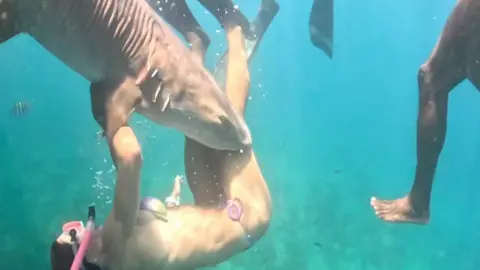 A still from a video shows a shark biting a female diver's leg