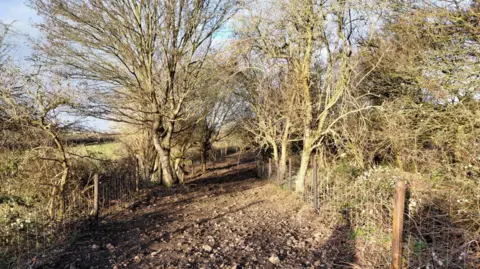Local Democracy Reporting Service A rocky path between two fields lined by bare trees on a clear winter day. 
