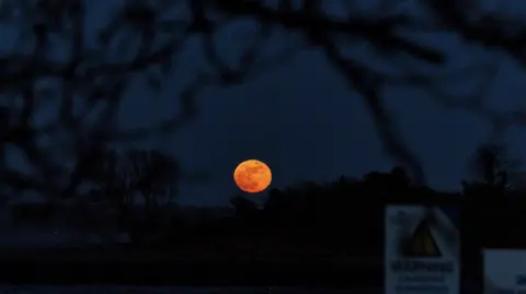 Weather watcher/Leah K A bright orange Moon rising above a faint tree line. 
