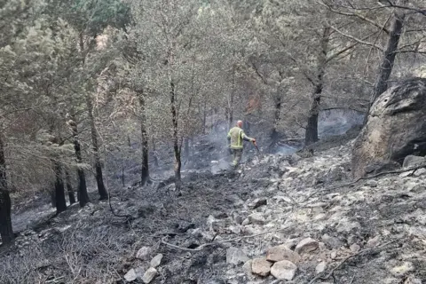 Comrie Community Fire Station A firefighter searches for hotspots in an area of fire damaged woodland in the Cairngorms. Grey ash covers the ground.