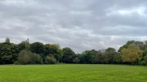 LDRS A park with green grass and an area of large, tall, green trees