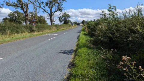 RSPCA A country road with grass verges, lined with bushes and trees. The word 'slow' is written on the road and there are two road signs, one warning of animals and the other of a bend in the road.