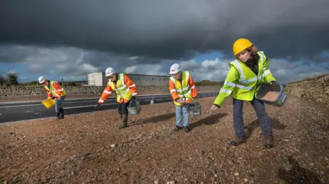 The Eden Project/Emily Whitfield-Wicks Four volunteers are spreading seed along one of the banks of the major link road. They are wearing high vis jackets and helmets. 