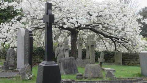 Yvonne Wright Rock Cemetery in spring. Trees in blossom can be seen above a number of graves