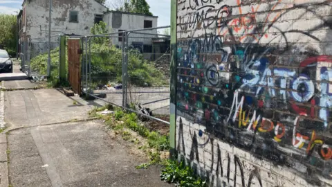There is a heavily graffitied wall to the bottom right of the picture, followed by metal security fencing, overgrown bushes and derelict properties in the distance