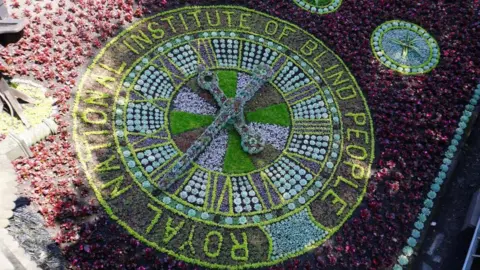 The floral clock is made up of thousands o flowering plants which are green and purple.