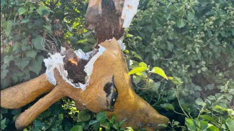 A closer picture of the broken giraffe. You can see chicken wire and other materials hanging out as the head has been detached from the neck 