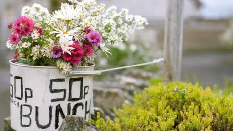 Kathryn Martin A selection of flowers are in a white bucket with 50p a bunch painted on the side.